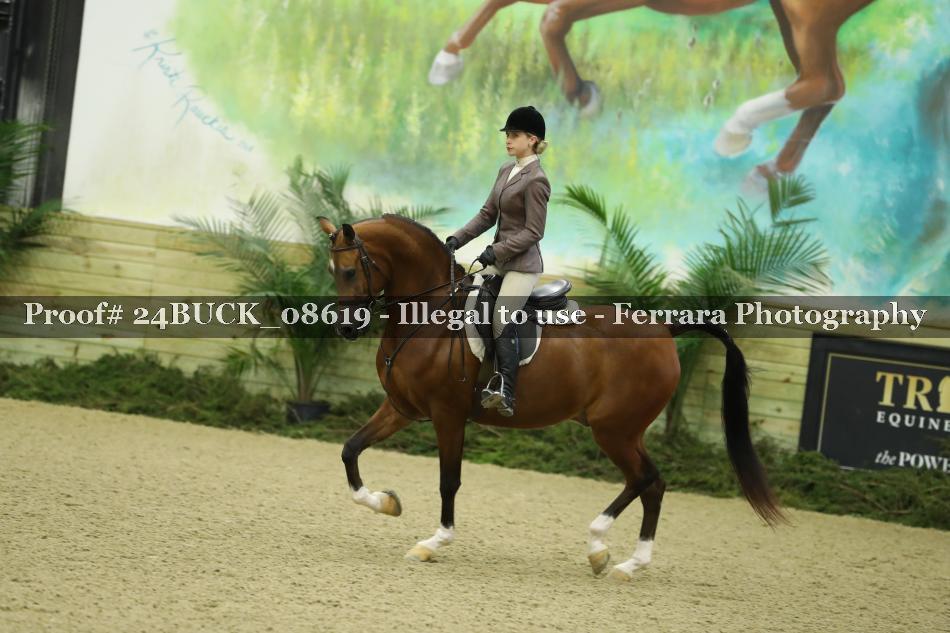 Proof 24BUCK_08619