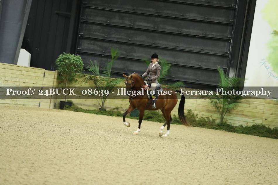 Proof 24BUCK_08639
