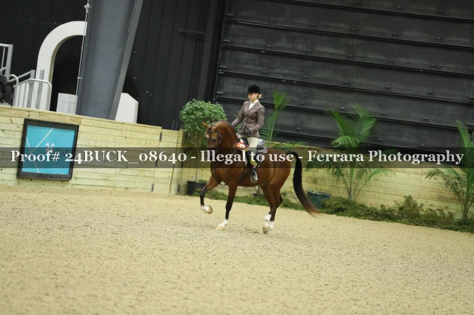 Proof 24BUCK_08640