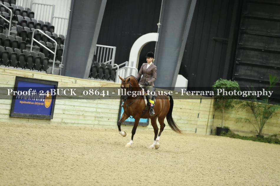 Proof 24BUCK_08641