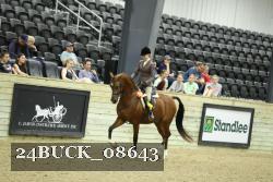 24BUCK_08643 proof