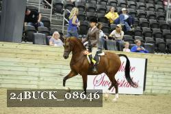 24BUCK_08646 proof