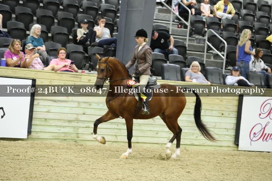 Proof 24BUCK_08647