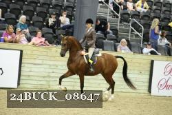 24BUCK_08647 proof