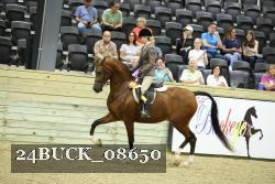 24BUCK_08650 proof