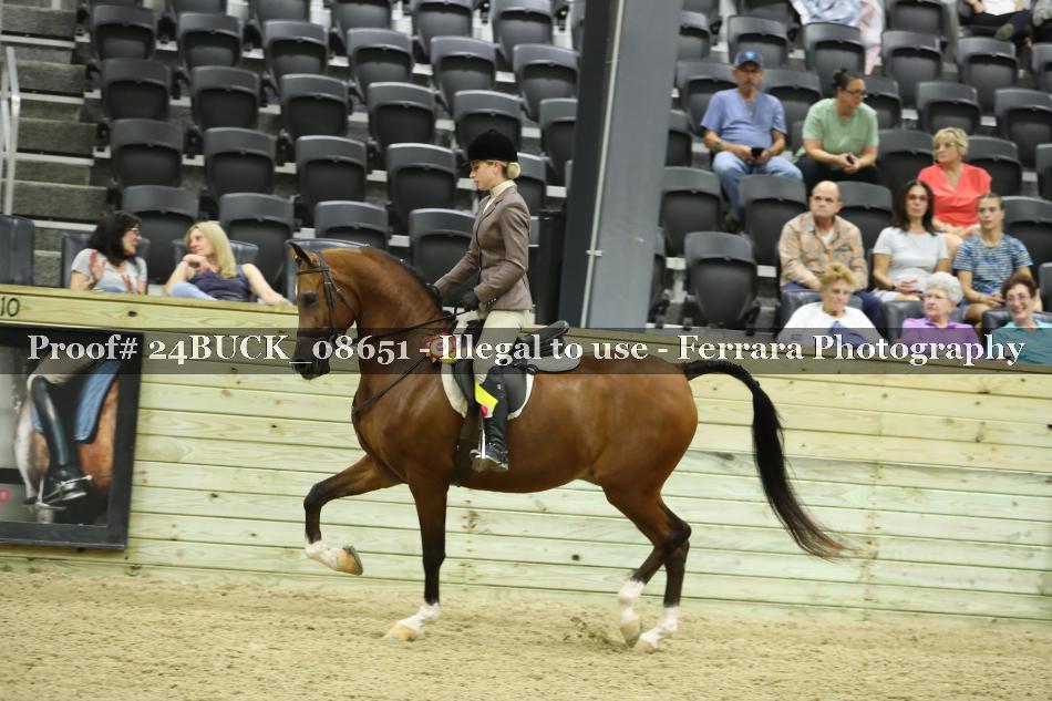 Proof 24BUCK_08651