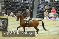 24BUCK_08651 proof