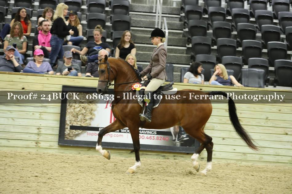 Proof 24BUCK_08653