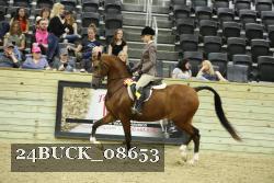 24BUCK_08653 proof