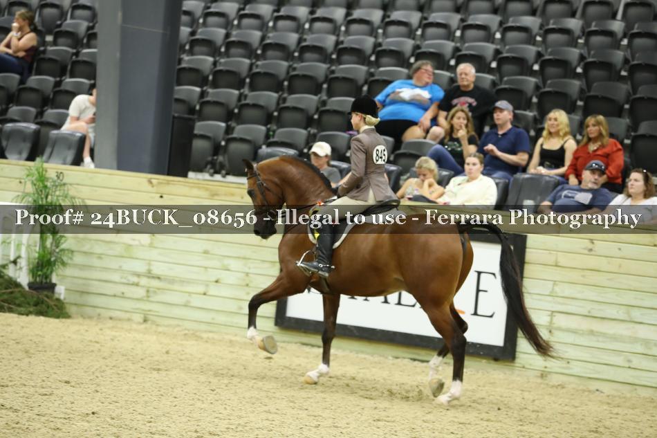 Proof 24BUCK_08656