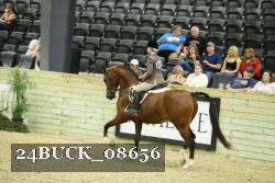 24BUCK_08656 proof