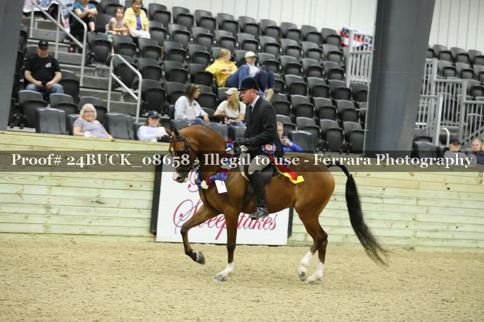 Proof 24BUCK_08658