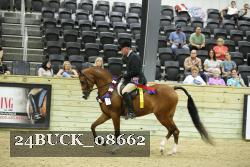 24BUCK_08662 proof