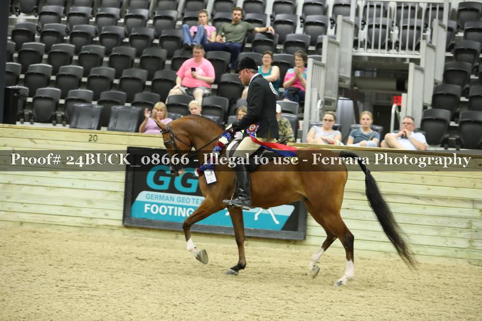 Proof 24BUCK_08666