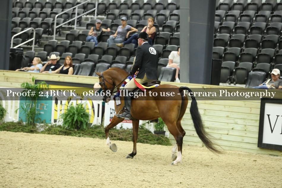 Proof 24BUCK_08668