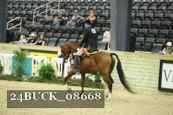 24BUCK_08668 proof