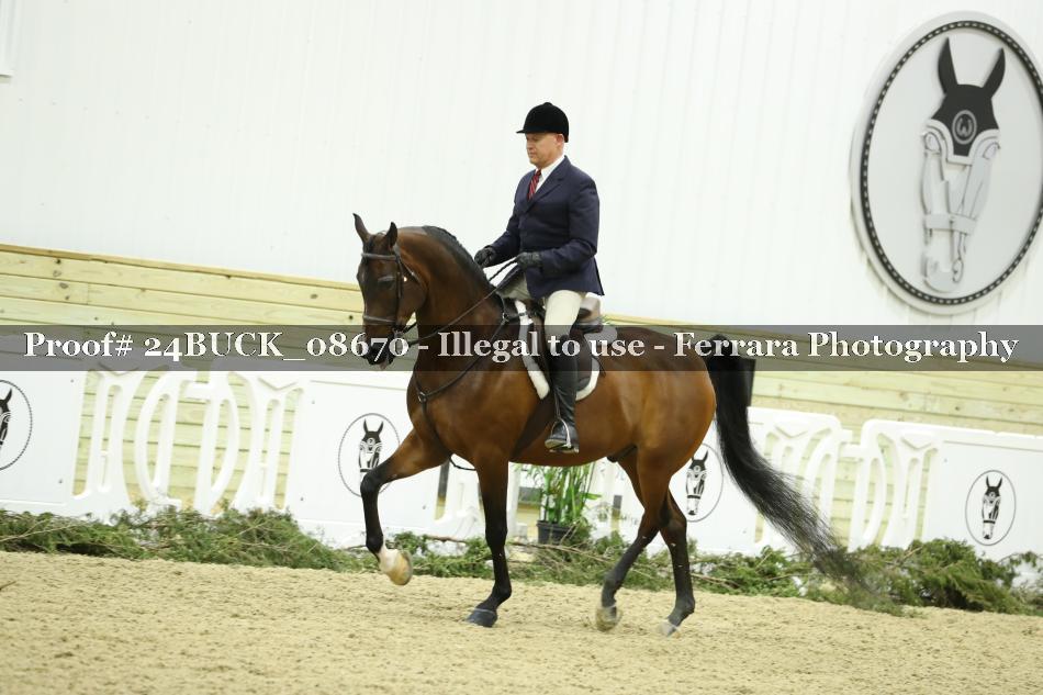 Proof 24BUCK_08670