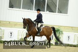 24BUCK_08671 proof