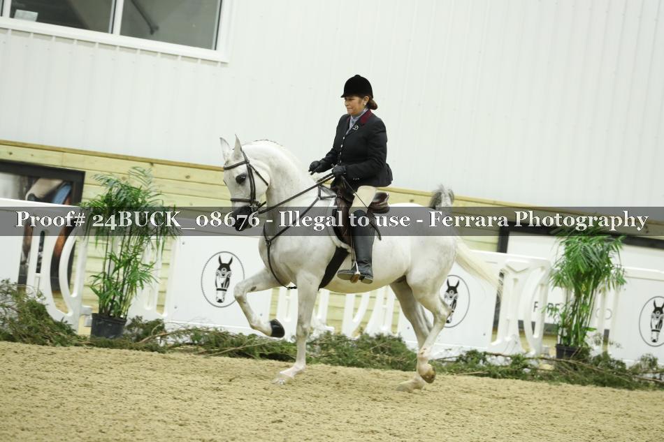 Proof 24BUCK_08676