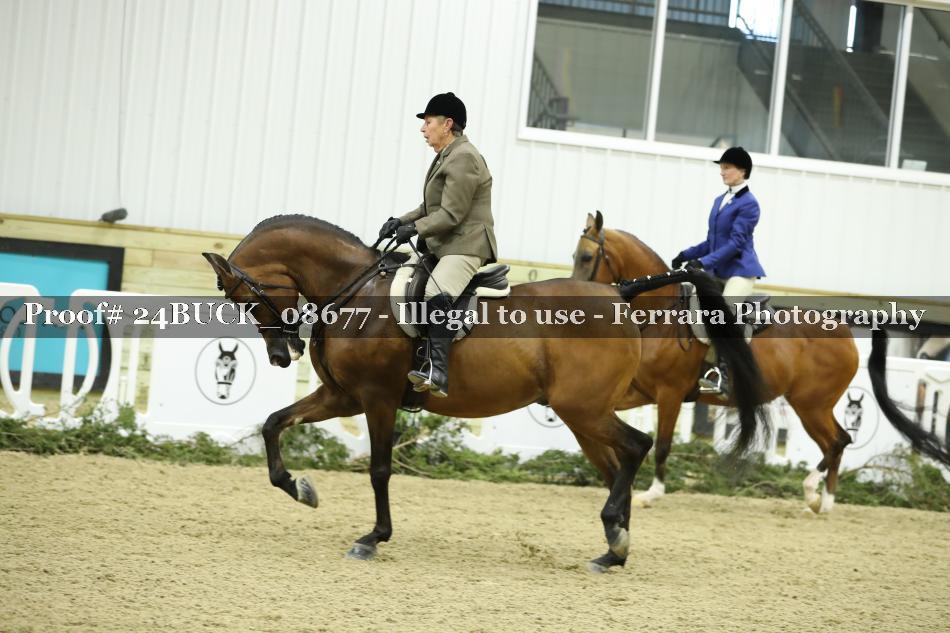 Proof 24BUCK_08677