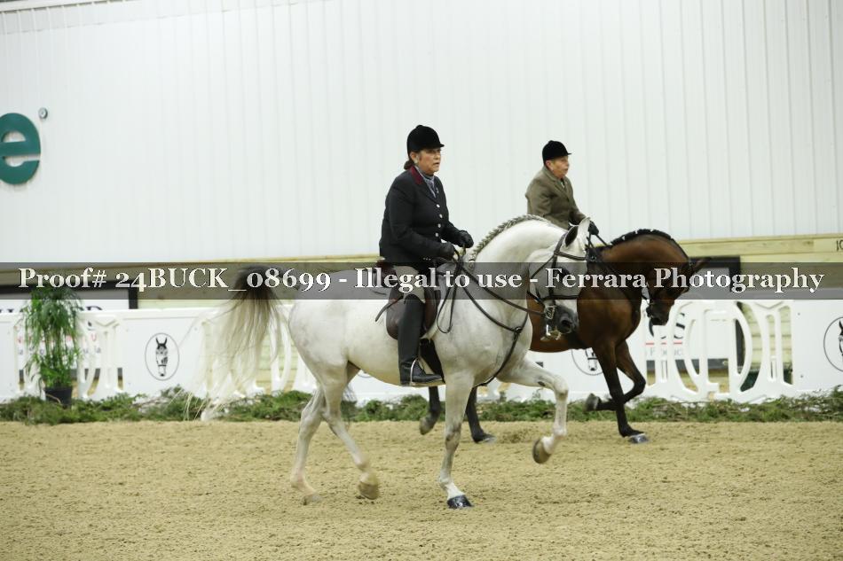 Proof 24BUCK_08699