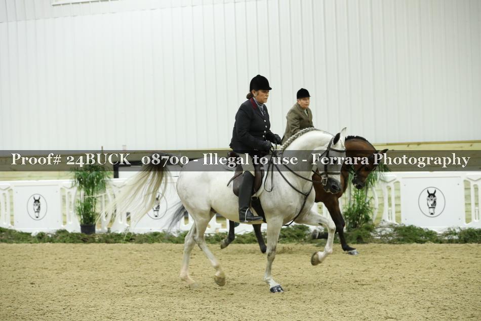 Proof 24BUCK_08700