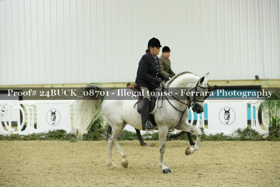 Proof 24BUCK_08701