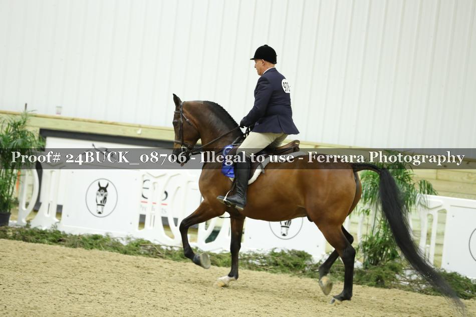 Proof 24BUCK_08706