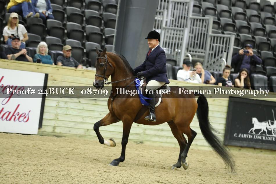 Proof 24BUCK_08709