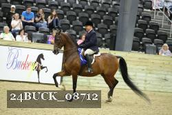 24BUCK_08712 proof