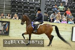 24BUCK_08713 proof