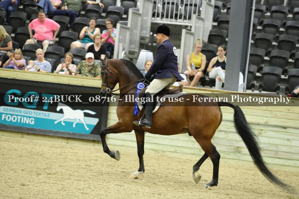 Proof 24BUCK_08716