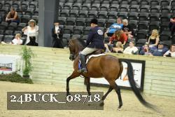 24BUCK_08718 proof
