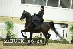 24BUCK_08729 proof