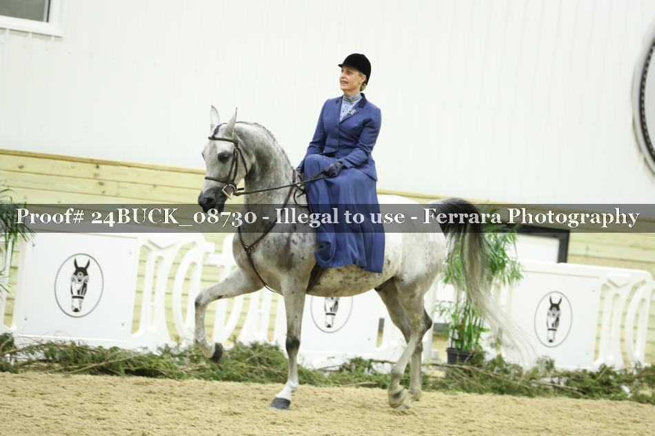 Proof 24BUCK_08730