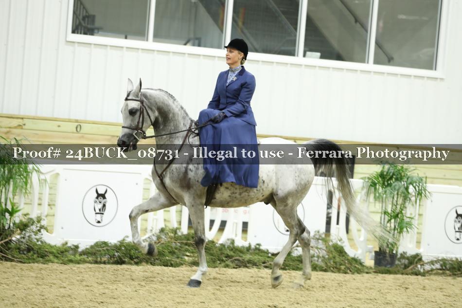 Proof 24BUCK_08731