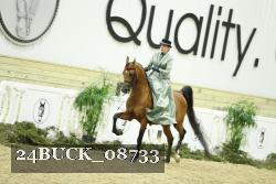 24BUCK_08733 proof