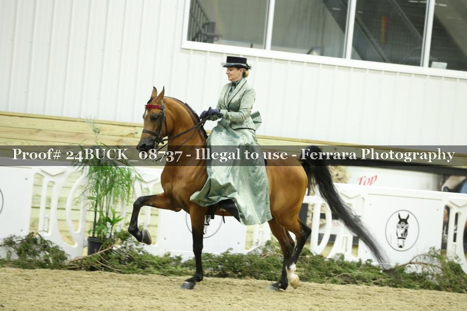 Proof 24BUCK_08737