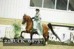 24BUCK_08737 proof