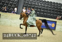 24BUCK_08742 proof