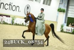 24BUCK_08754 proof