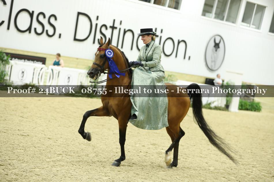 Proof 24BUCK_08755