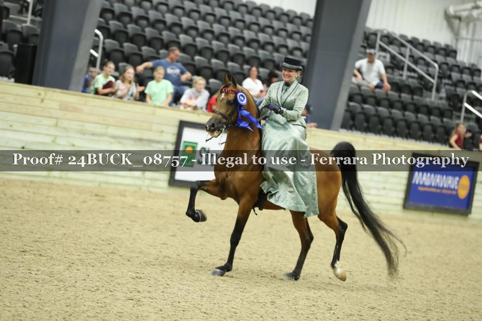 Proof 24BUCK_08757