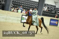 24BUCK_08757 proof
