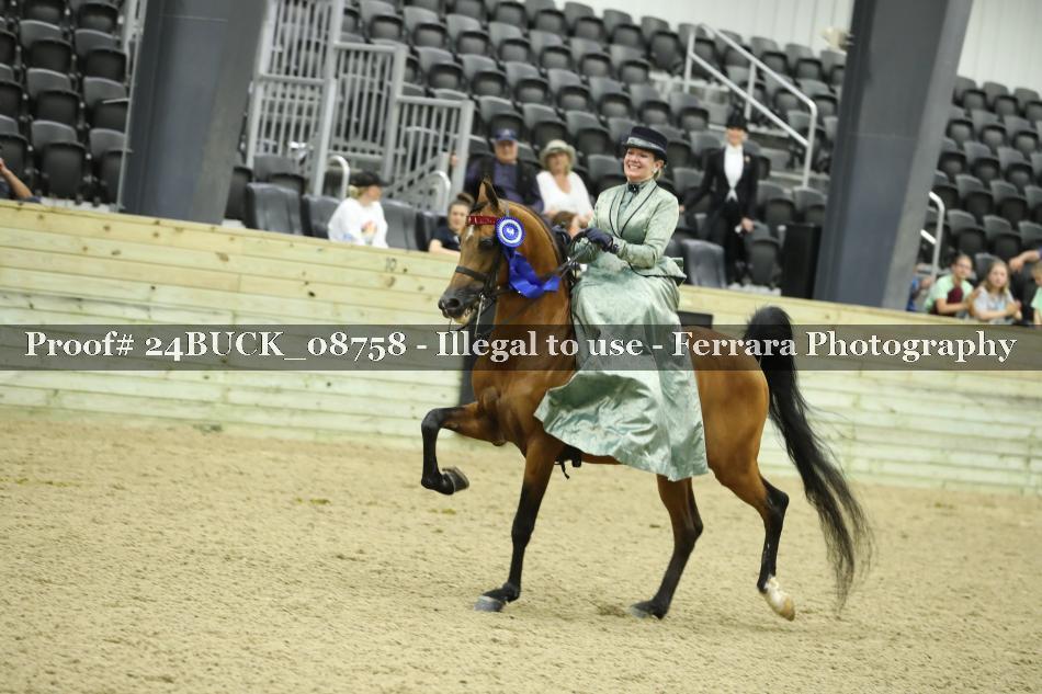 Proof 24BUCK_08758