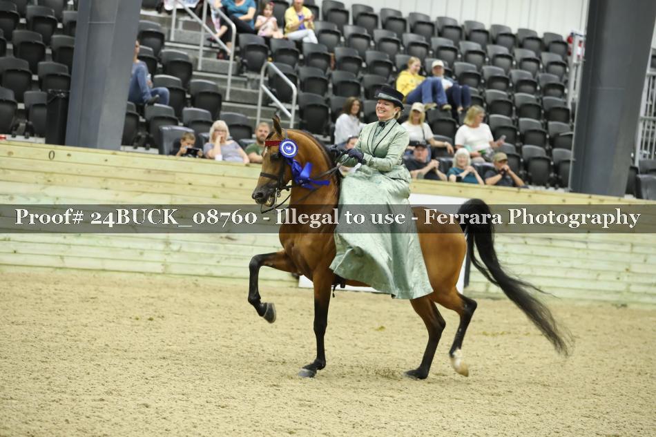 Proof 24BUCK_08760