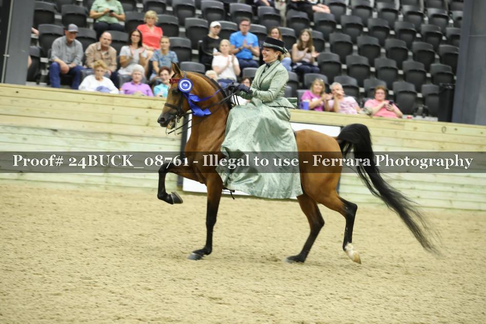 Proof 24BUCK_08761