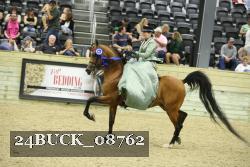 24BUCK_08762 proof