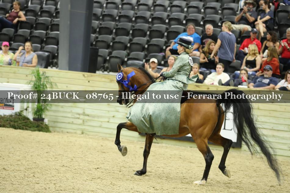 Proof 24BUCK_08765
