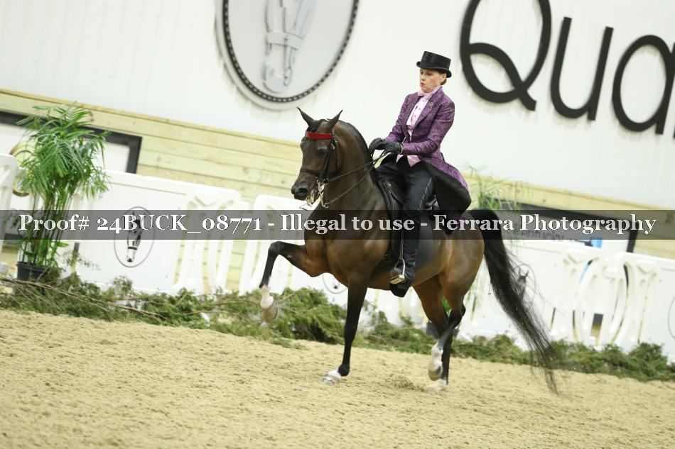 Proof 24BUCK_08771